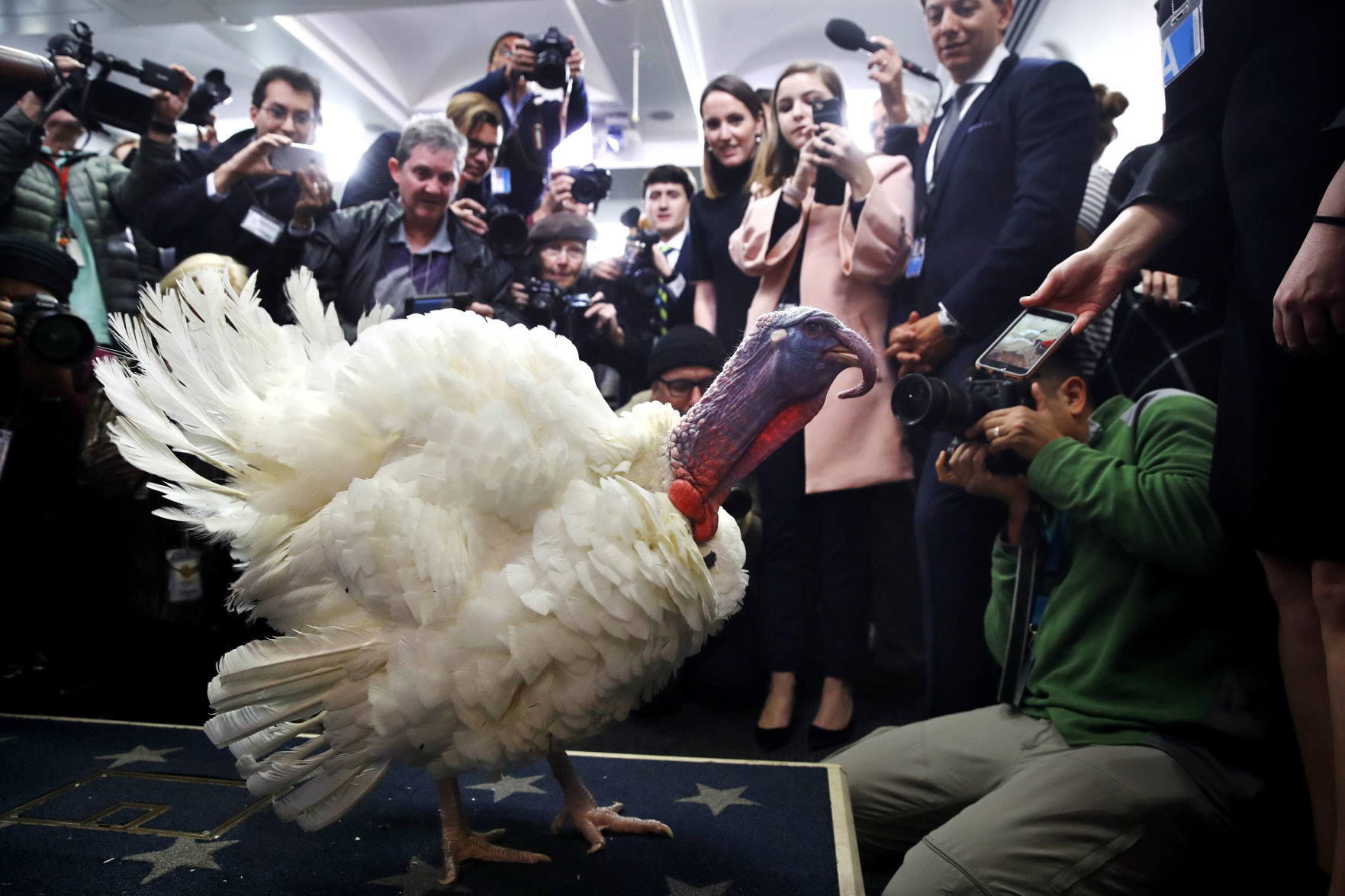 Thanksgiving Day